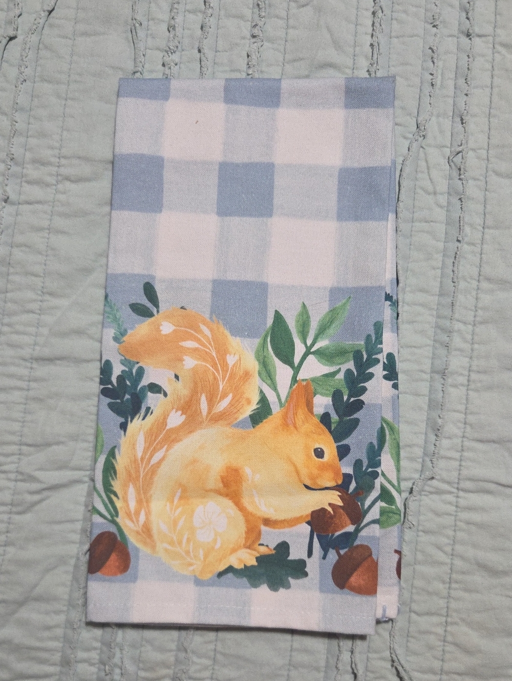 Anthropologie Squirrel Check Dishtowel